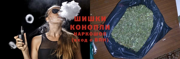 винт Дмитриев
